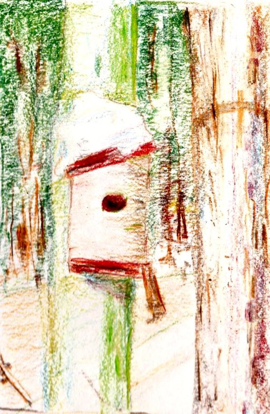 Tri-Tone Pencils, 9"x6", Heavy Drawing Paper