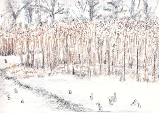 Tri-Tone Pencils, 9"x12", Heavy Drawing Paper